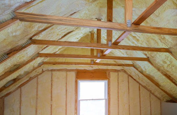 Best Spray Foam Insulation  in Waterloo, IN