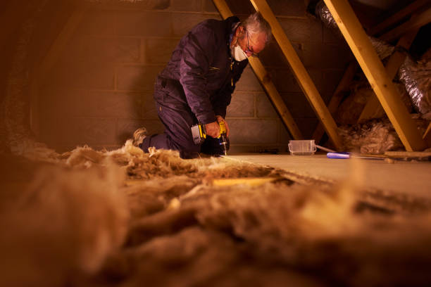 Best Attic Insulation Installation  in Waterloo, IN